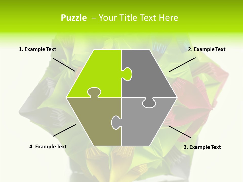 Various Rose Contemporary PowerPoint Template