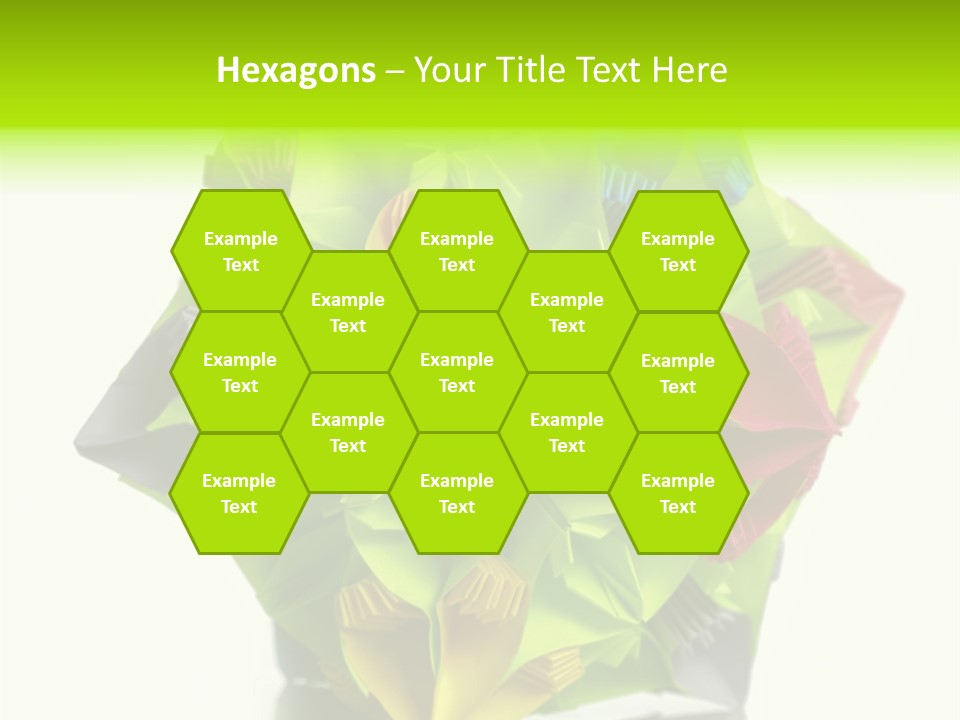 Various Rose Contemporary PowerPoint Template