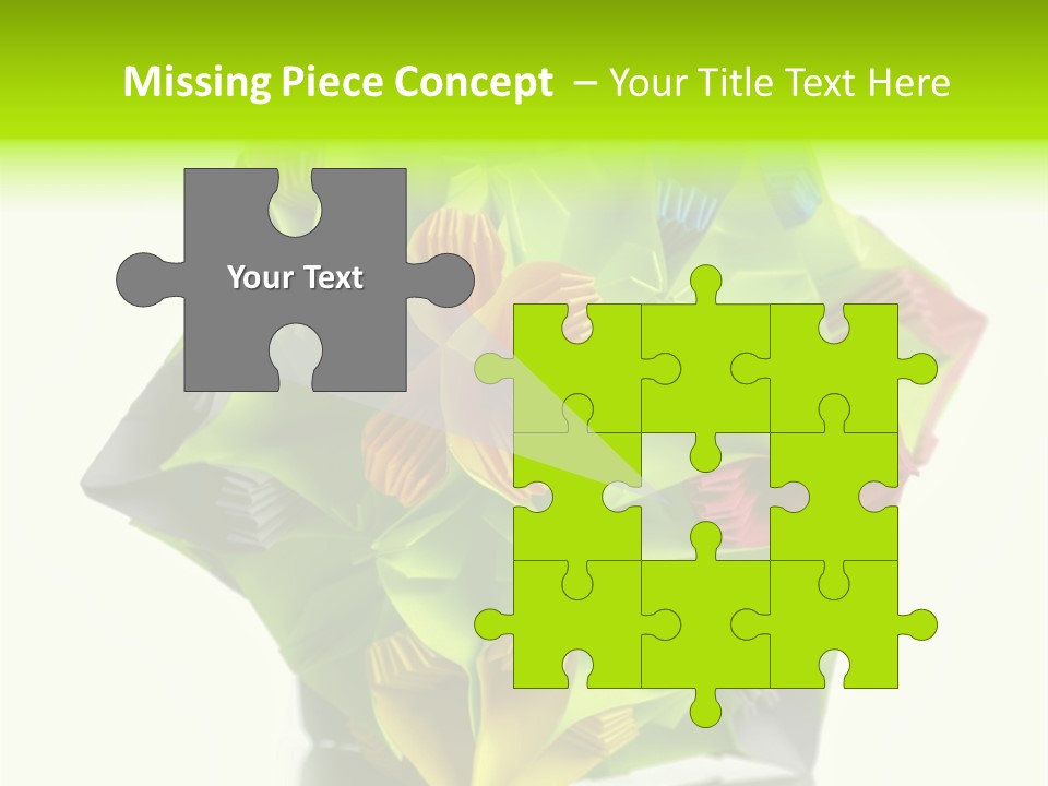 Various Rose Contemporary PowerPoint Template