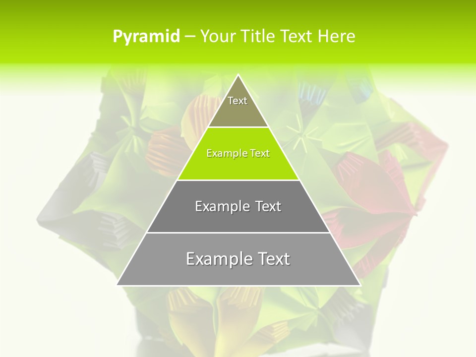 Various Rose Contemporary PowerPoint Template