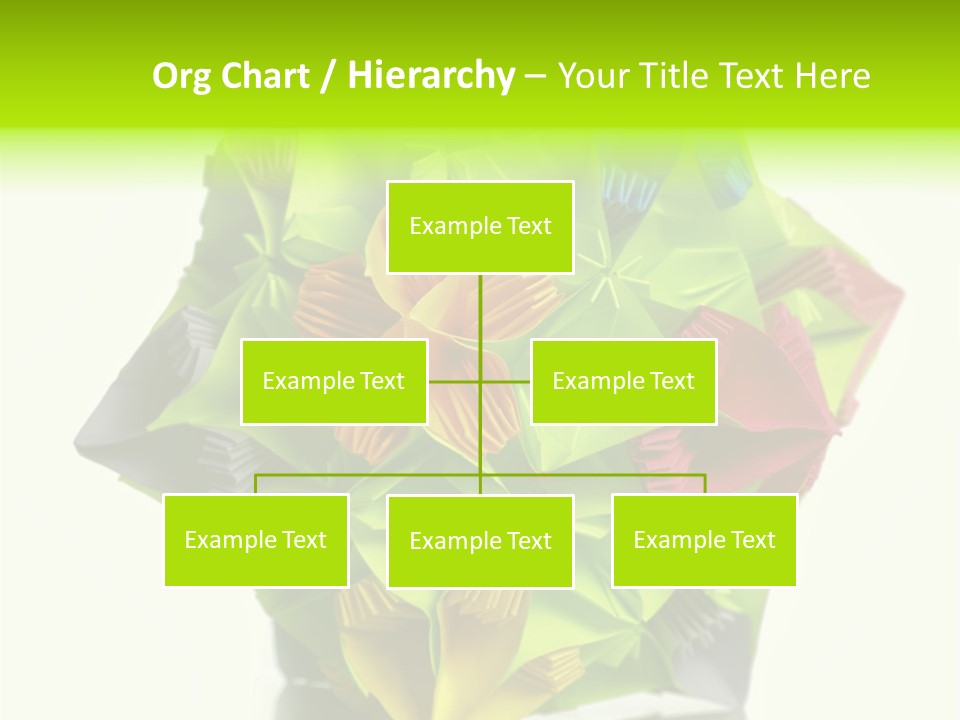 Various Rose Contemporary PowerPoint Template