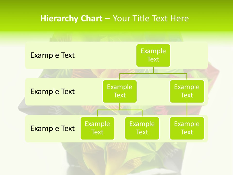 Various Rose Contemporary PowerPoint Template