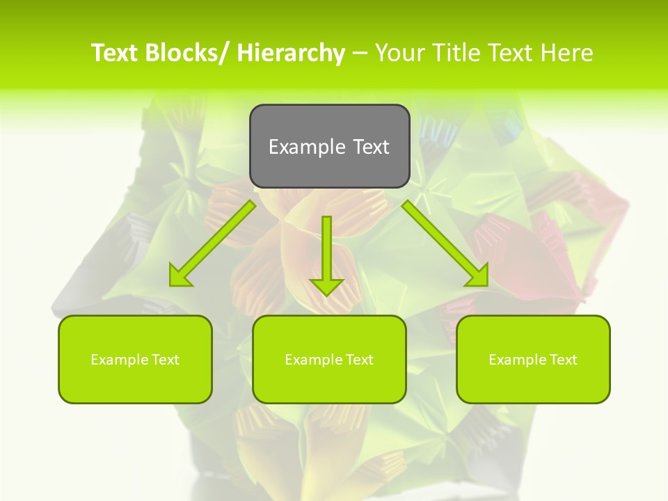 Various Rose Contemporary PowerPoint Template