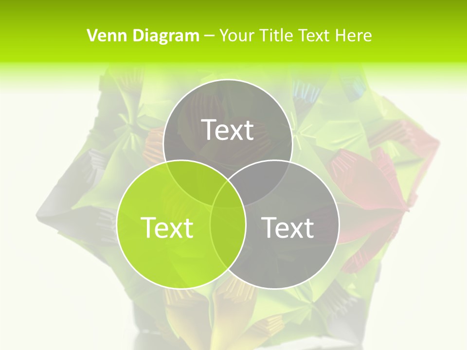 Various Rose Contemporary PowerPoint Template