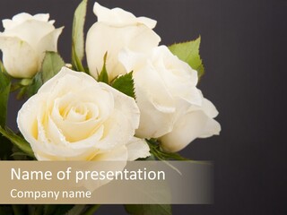 Roses White Vase PowerPoint Template