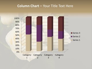 Roses White Vase PowerPoint Template