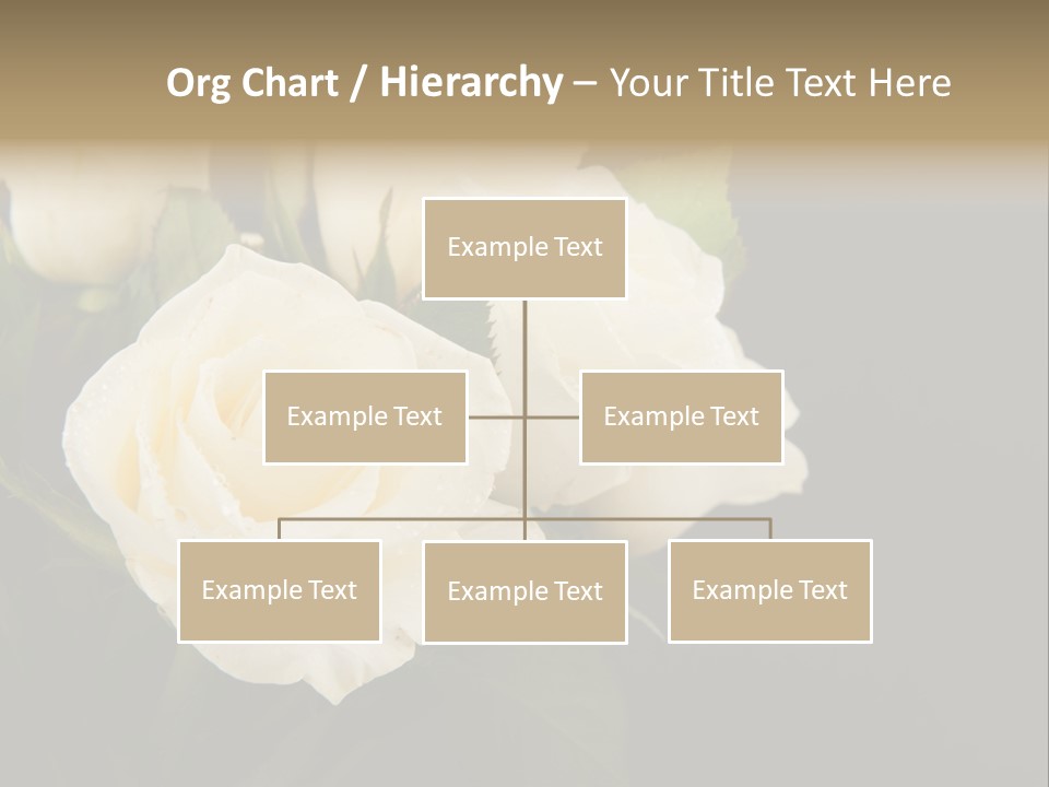 Roses White Vase PowerPoint Template
