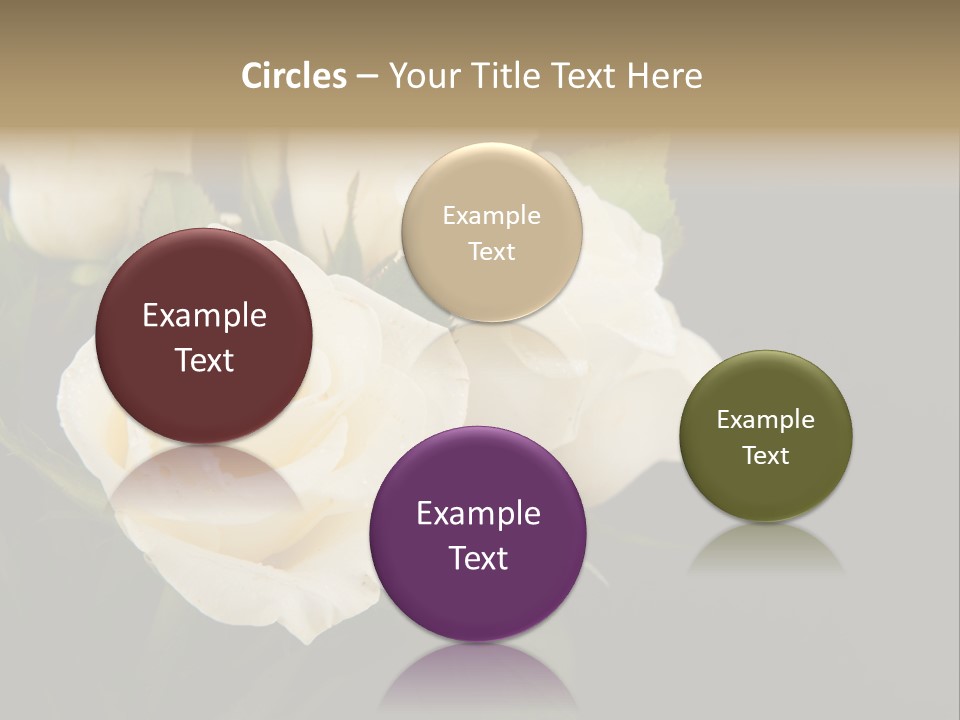 Roses White Vase PowerPoint Template