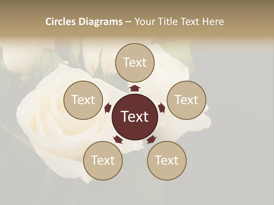 Roses White Vase PowerPoint Template