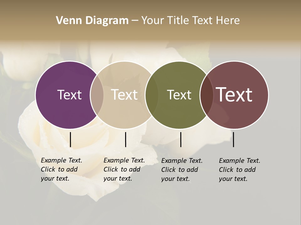 Roses White Vase PowerPoint Template