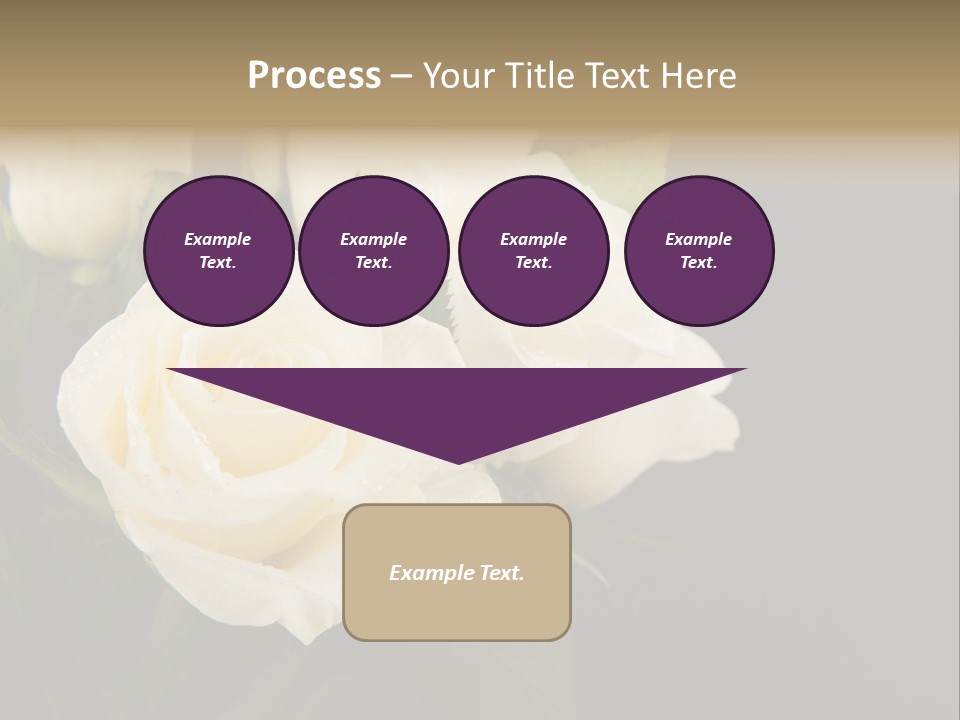 Roses White Vase PowerPoint Template