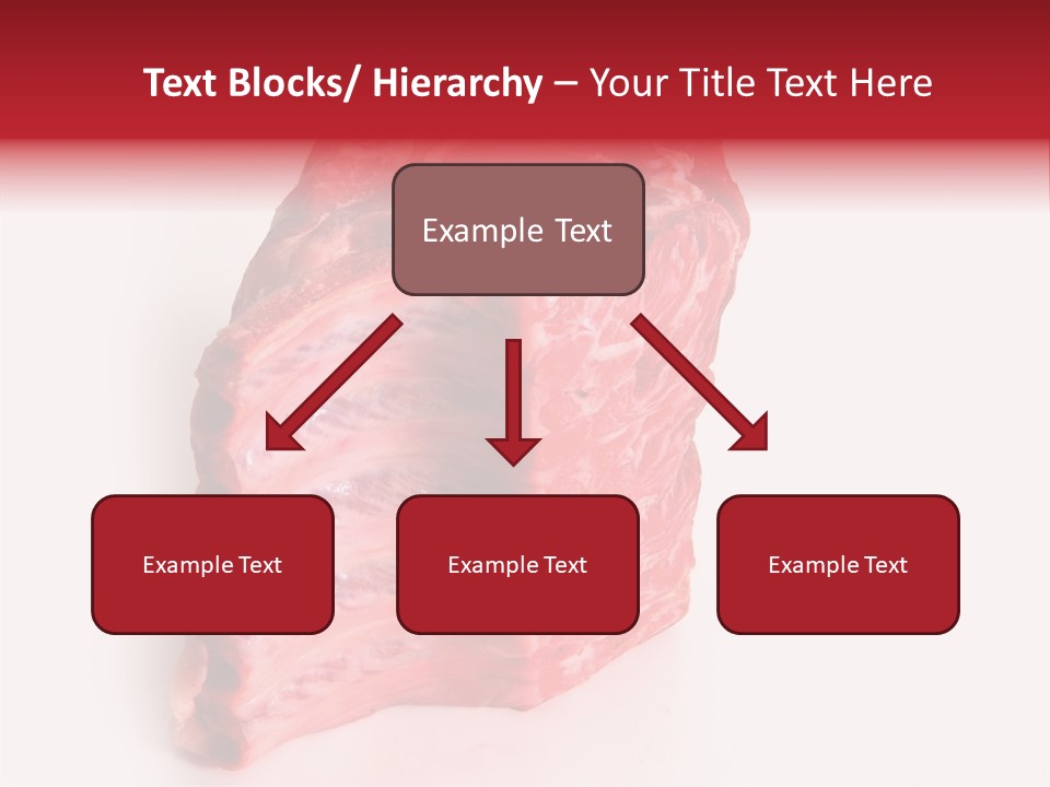 Single Beef Color PowerPoint Template