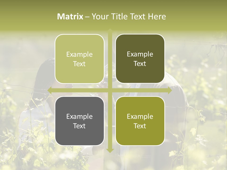 Vineyard Tasting Gourmet PowerPoint Template