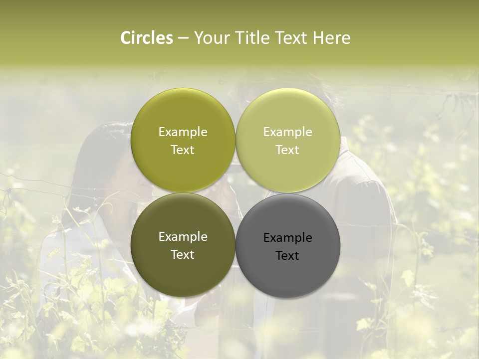 Vineyard Tasting Gourmet PowerPoint Template