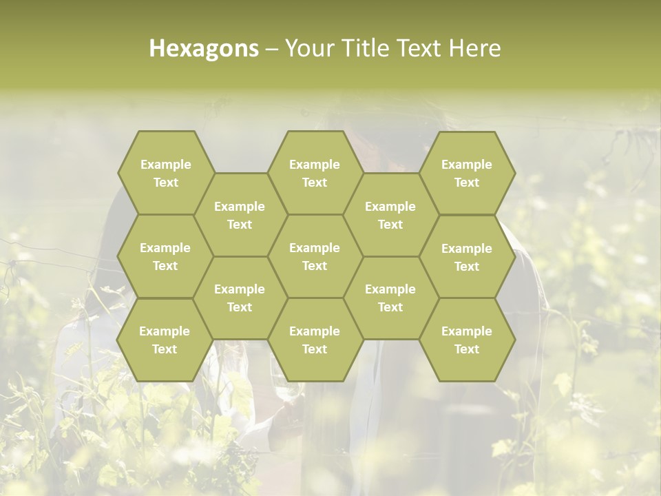 Vineyard Tasting Gourmet PowerPoint Template