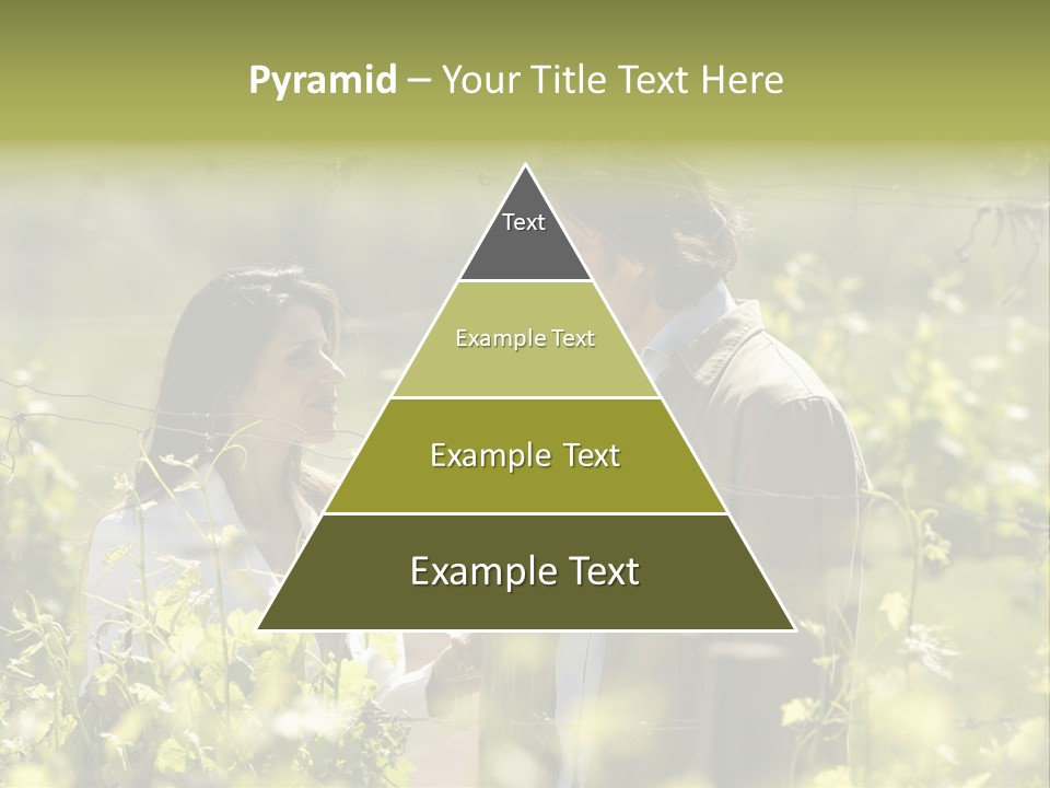 Vineyard Tasting Gourmet PowerPoint Template