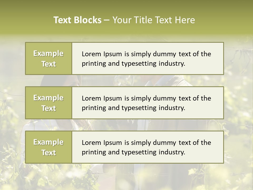 Vineyard Tasting Gourmet PowerPoint Template