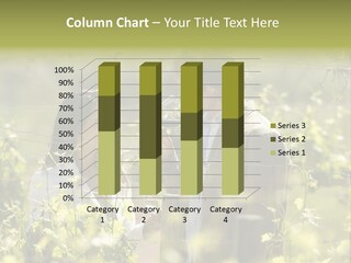 Vineyard Tasting Gourmet PowerPoint Template