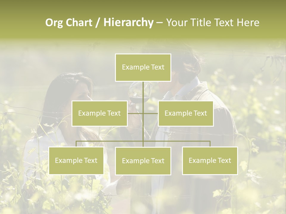 Vineyard Tasting Gourmet PowerPoint Template