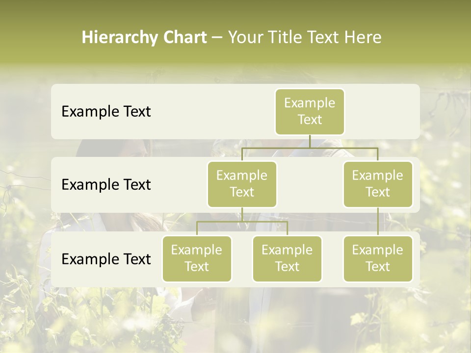 Vineyard Tasting Gourmet PowerPoint Template