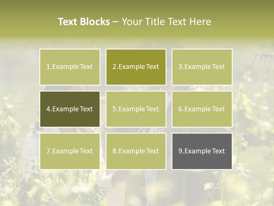 Vineyard Tasting Gourmet PowerPoint Template