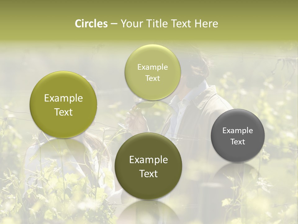 Vineyard Tasting Gourmet PowerPoint Template