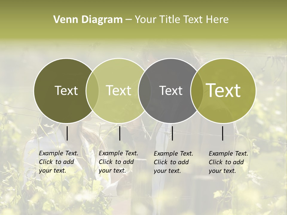 Vineyard Tasting Gourmet PowerPoint Template