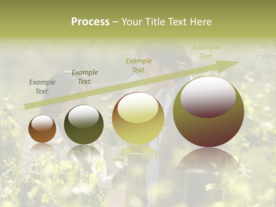 Vineyard Tasting Gourmet PowerPoint Template
