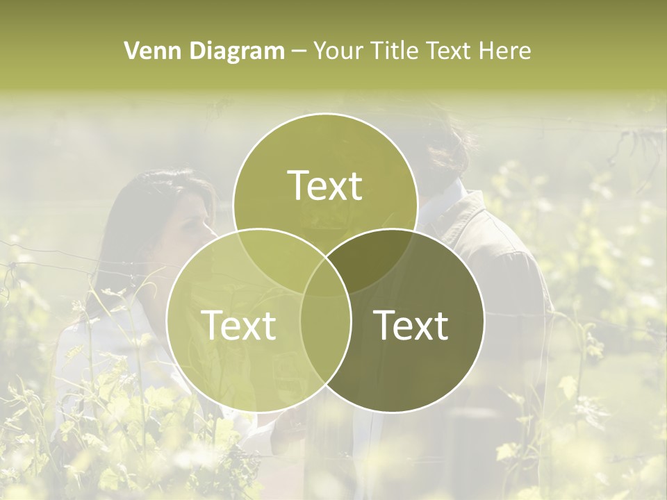 Vineyard Tasting Gourmet PowerPoint Template