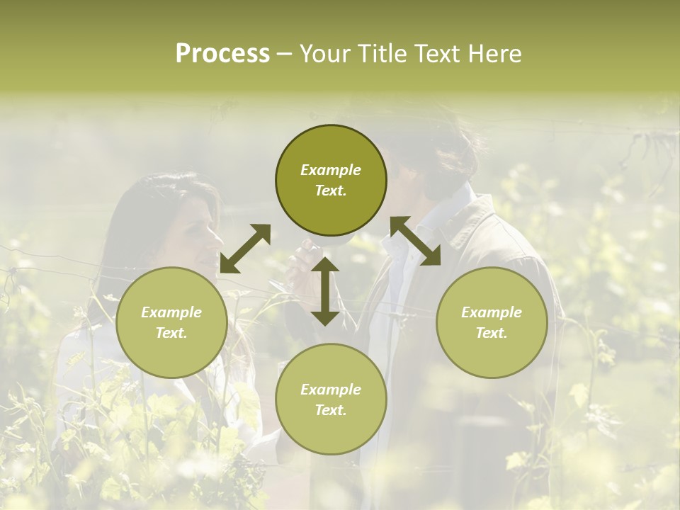 Vineyard Tasting Gourmet PowerPoint Template