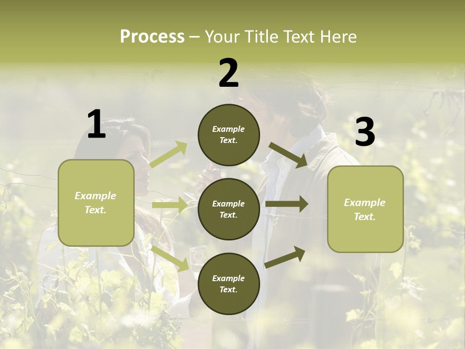 Vineyard Tasting Gourmet PowerPoint Template