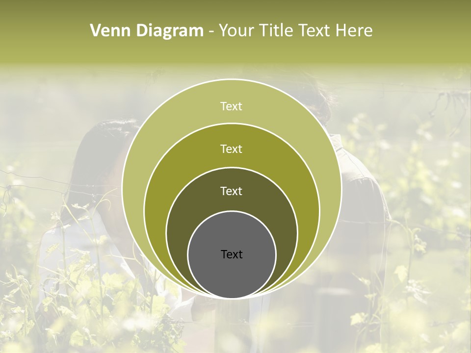 Vineyard Tasting Gourmet PowerPoint Template