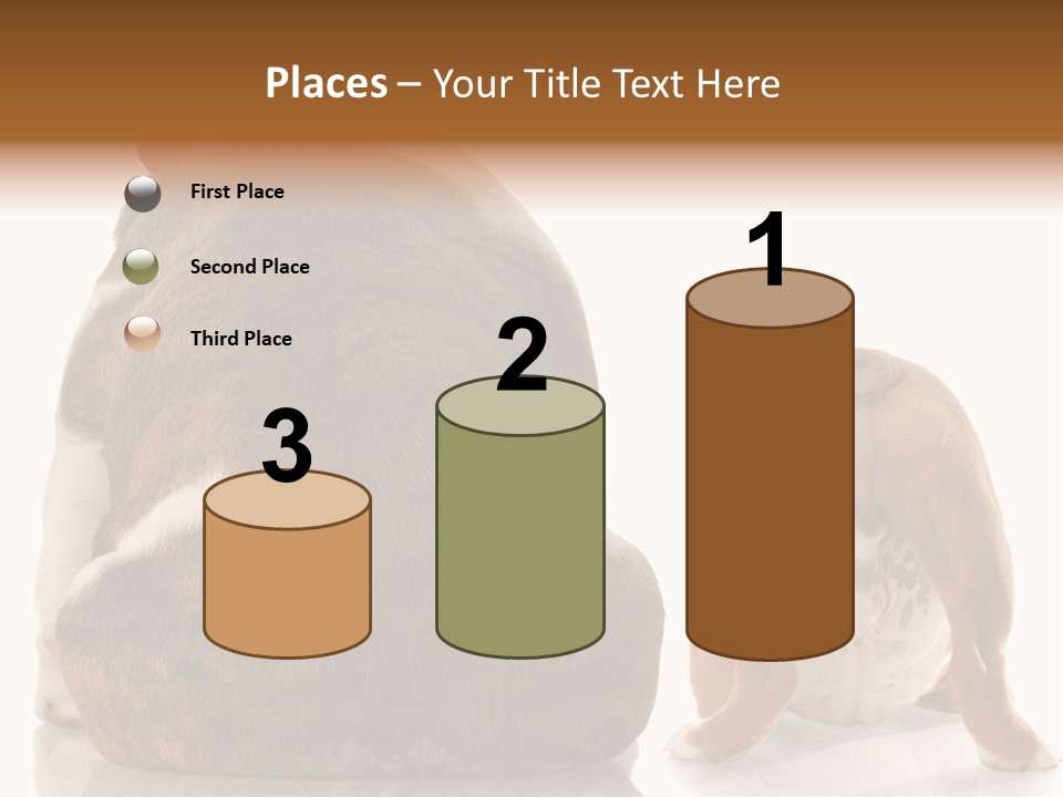 Part Bulldog Rump PowerPoint Template