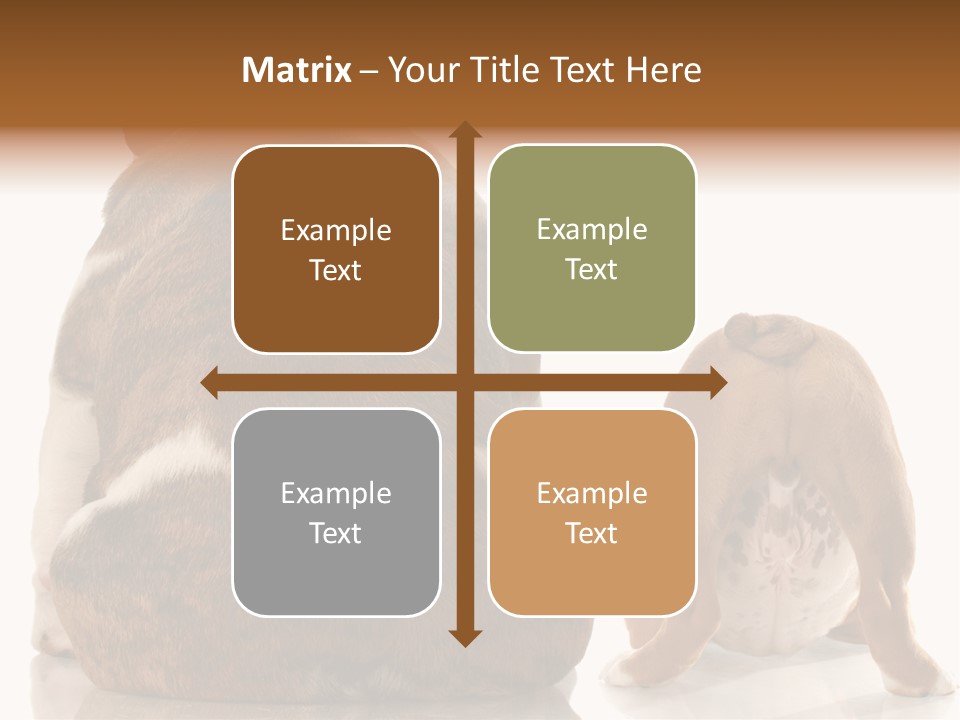 Part Bulldog Rump PowerPoint Template