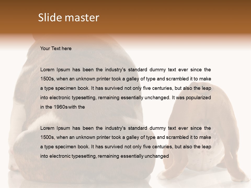 Part Bulldog Rump PowerPoint Template