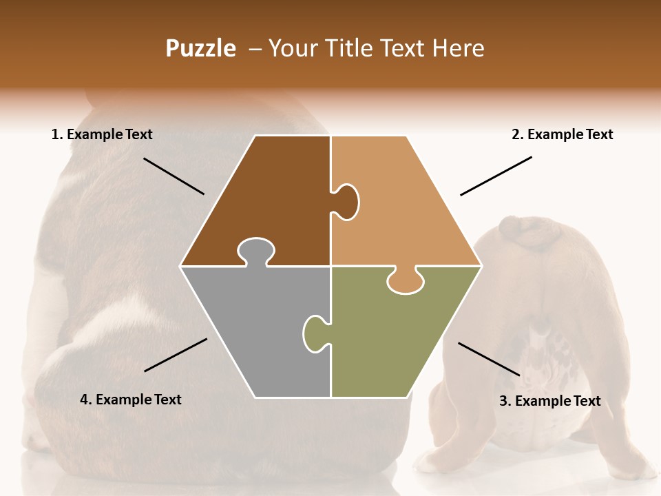 Part Bulldog Rump PowerPoint Template