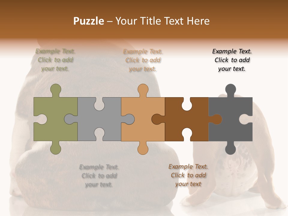 Part Bulldog Rump PowerPoint Template