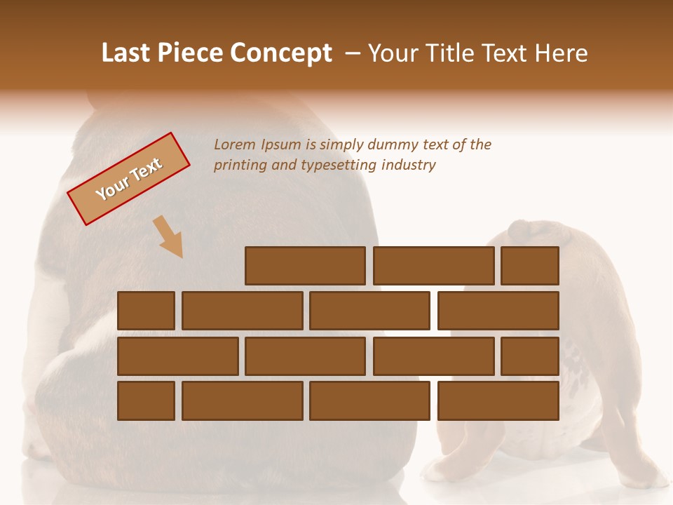 Part Bulldog Rump PowerPoint Template