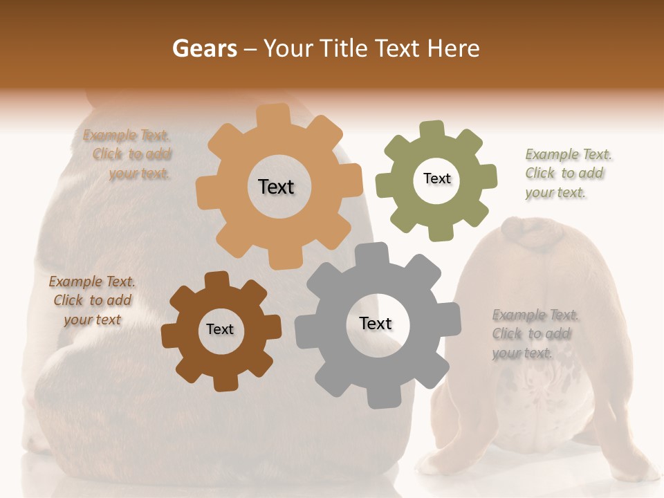 Part Bulldog Rump PowerPoint Template