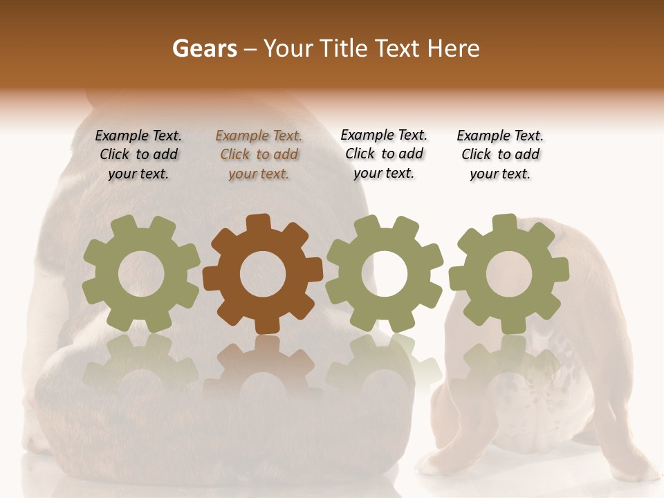 Part Bulldog Rump PowerPoint Template