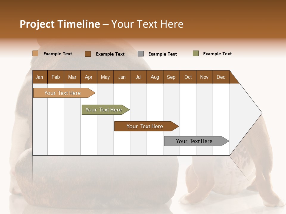 Part Bulldog Rump PowerPoint Template