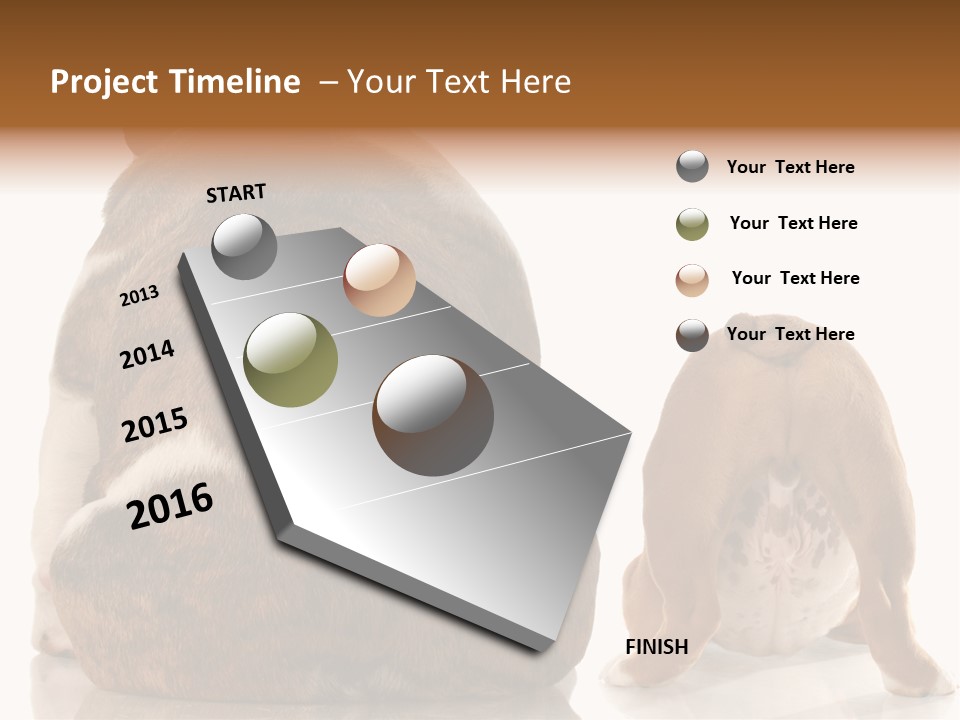 Part Bulldog Rump PowerPoint Template