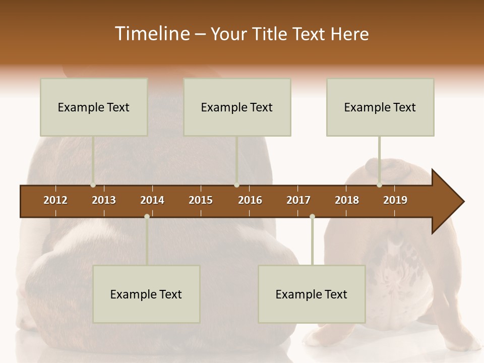 Part Bulldog Rump PowerPoint Template