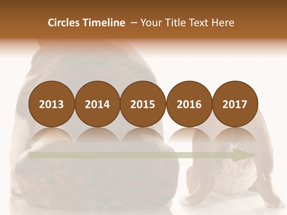 Part Bulldog Rump PowerPoint Template