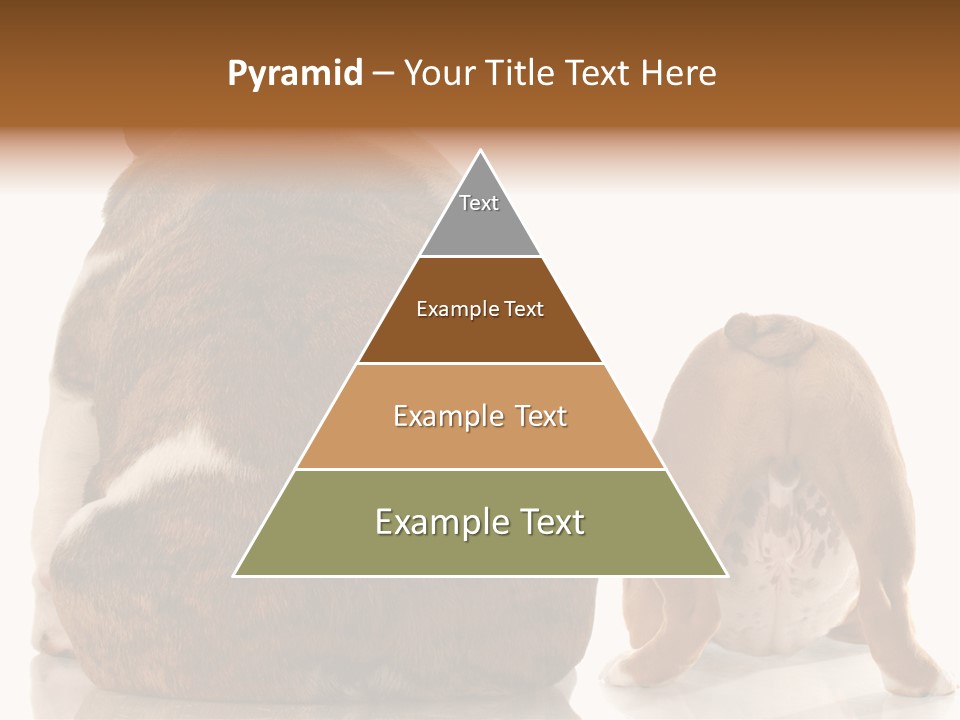 Part Bulldog Rump PowerPoint Template