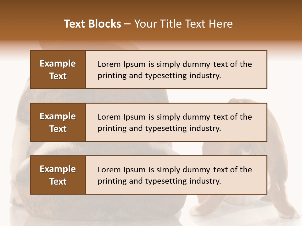 Part Bulldog Rump PowerPoint Template