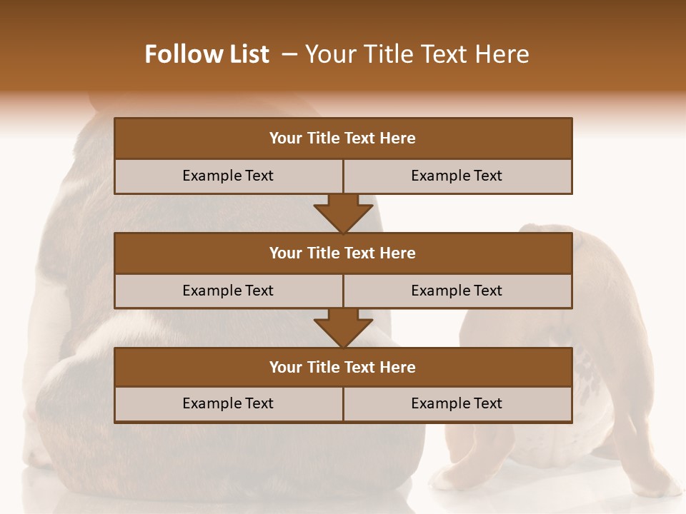 Part Bulldog Rump PowerPoint Template