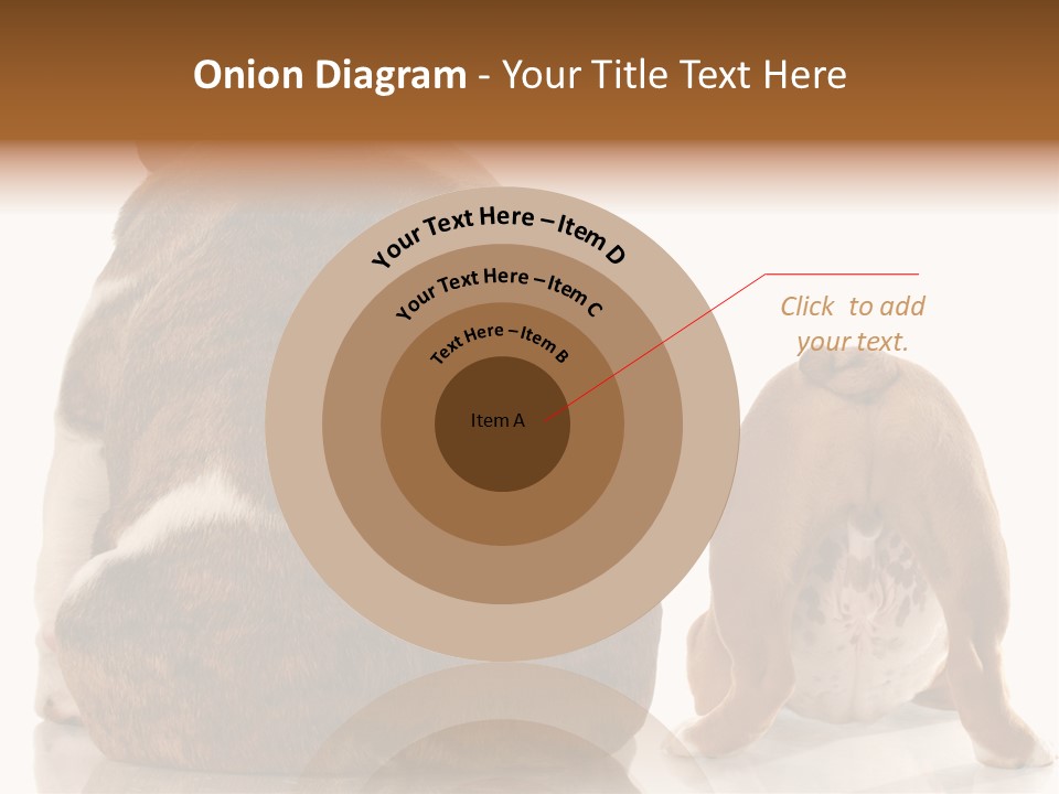 Part Bulldog Rump PowerPoint Template