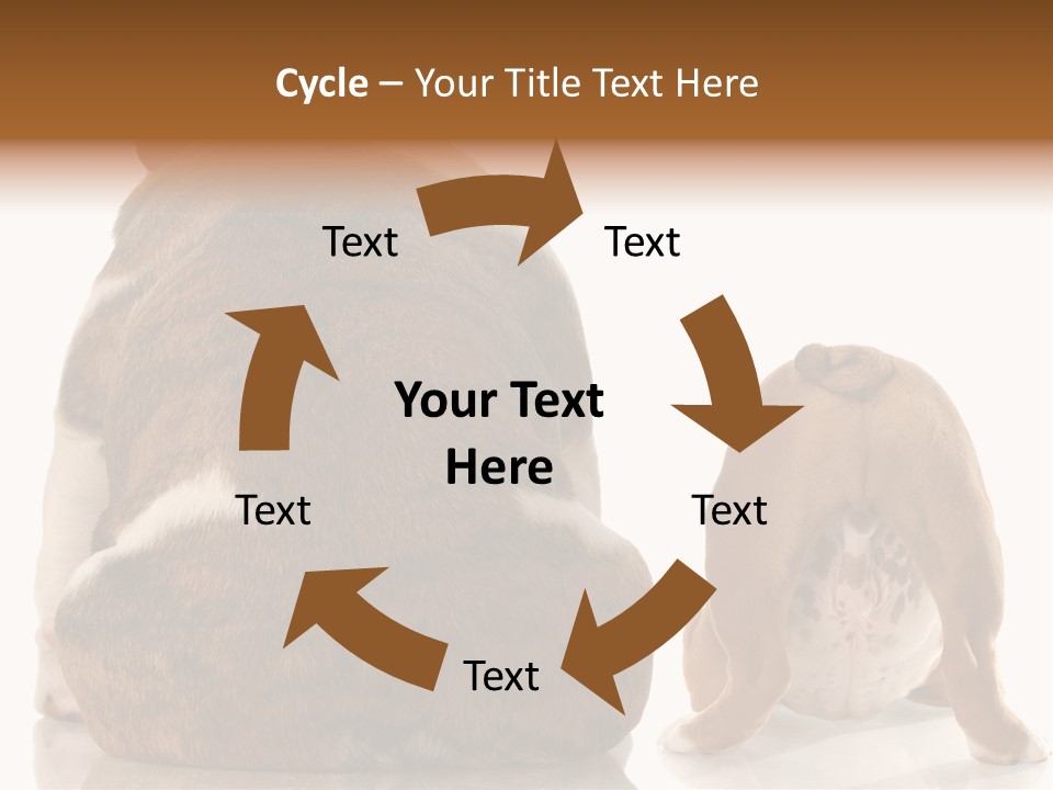 Part Bulldog Rump PowerPoint Template