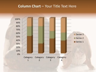 Part Bulldog Rump PowerPoint Template